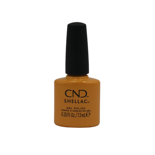 Shellac - Sundial It Up