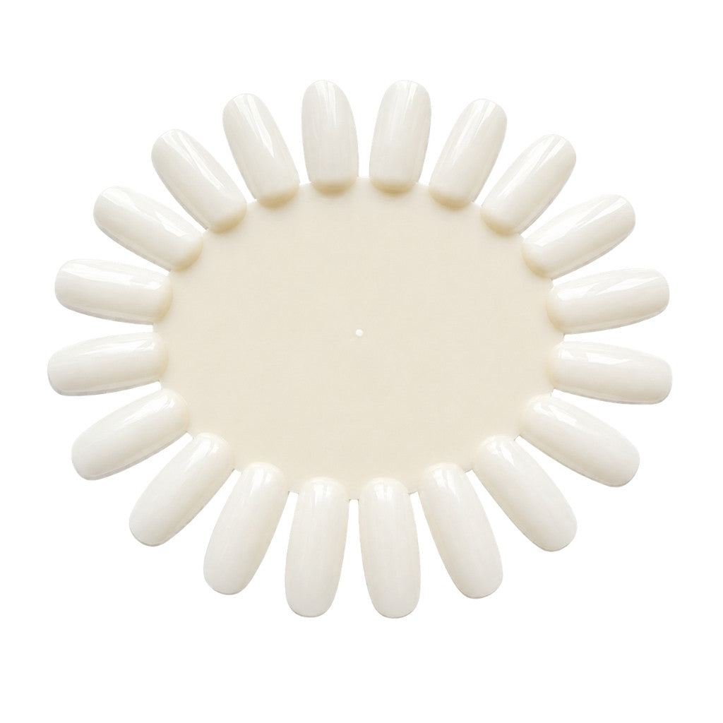 Color Wheel Oval Natural x10