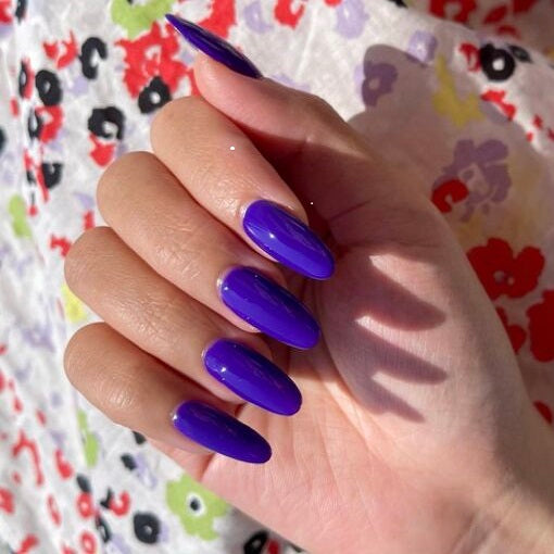 Duo Gel - DC019 Ultramarine