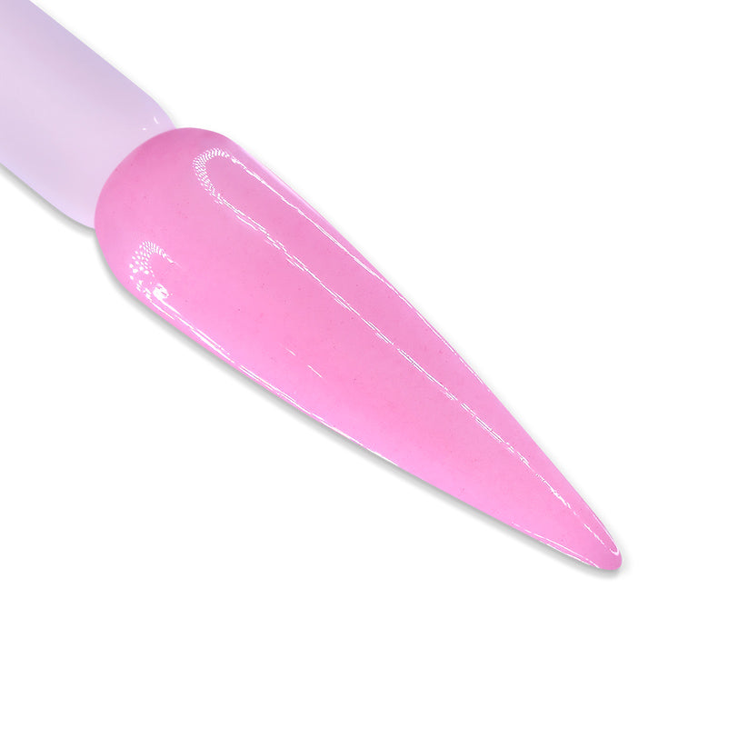 DD Duo - DD019 Lady Rose