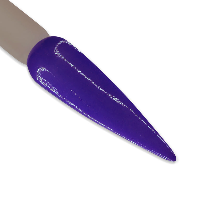 DD Duo - DD069 Electric Blue