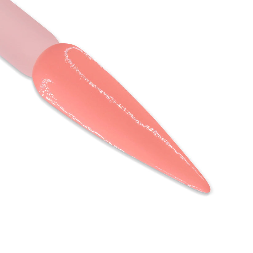 DD Duo - DD185 Nectarine