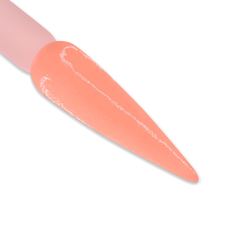 DD Duo - DD186 Creamside