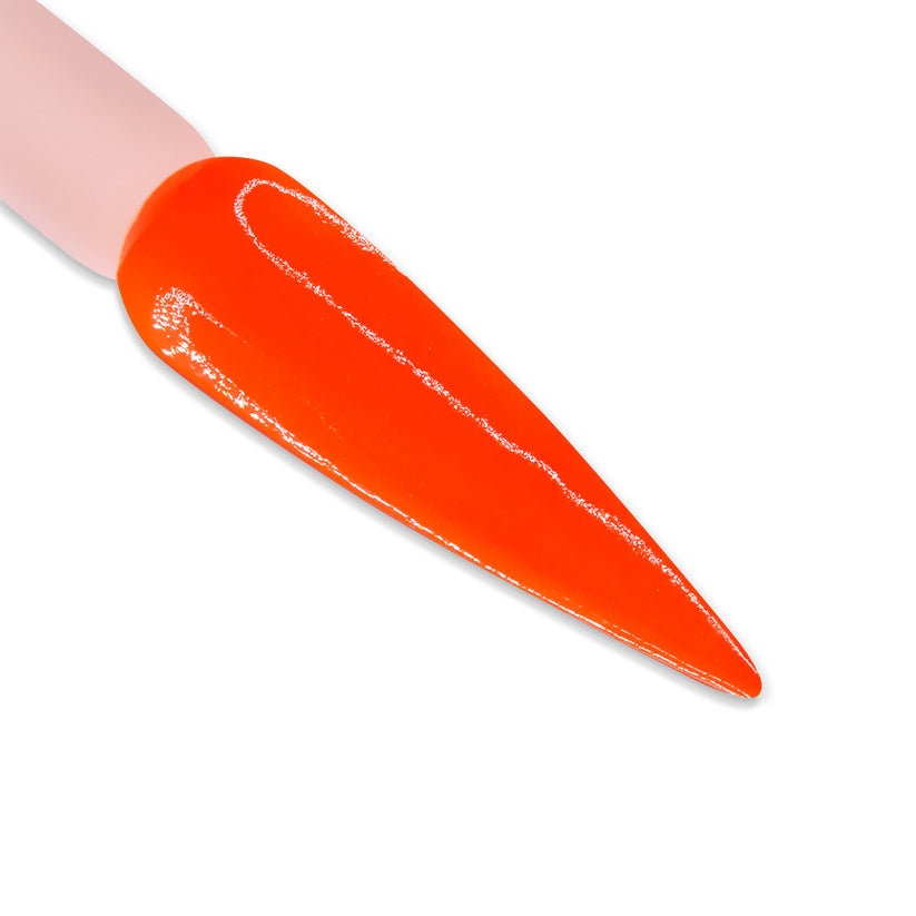 DD Duo - DD207 Thrill Seeker