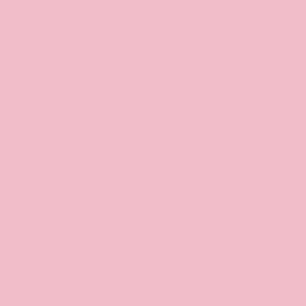 Dip Powder - Pink #3 100g Diamond Nail Supplies