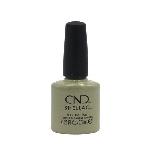 Shellac - Rags to Stitches