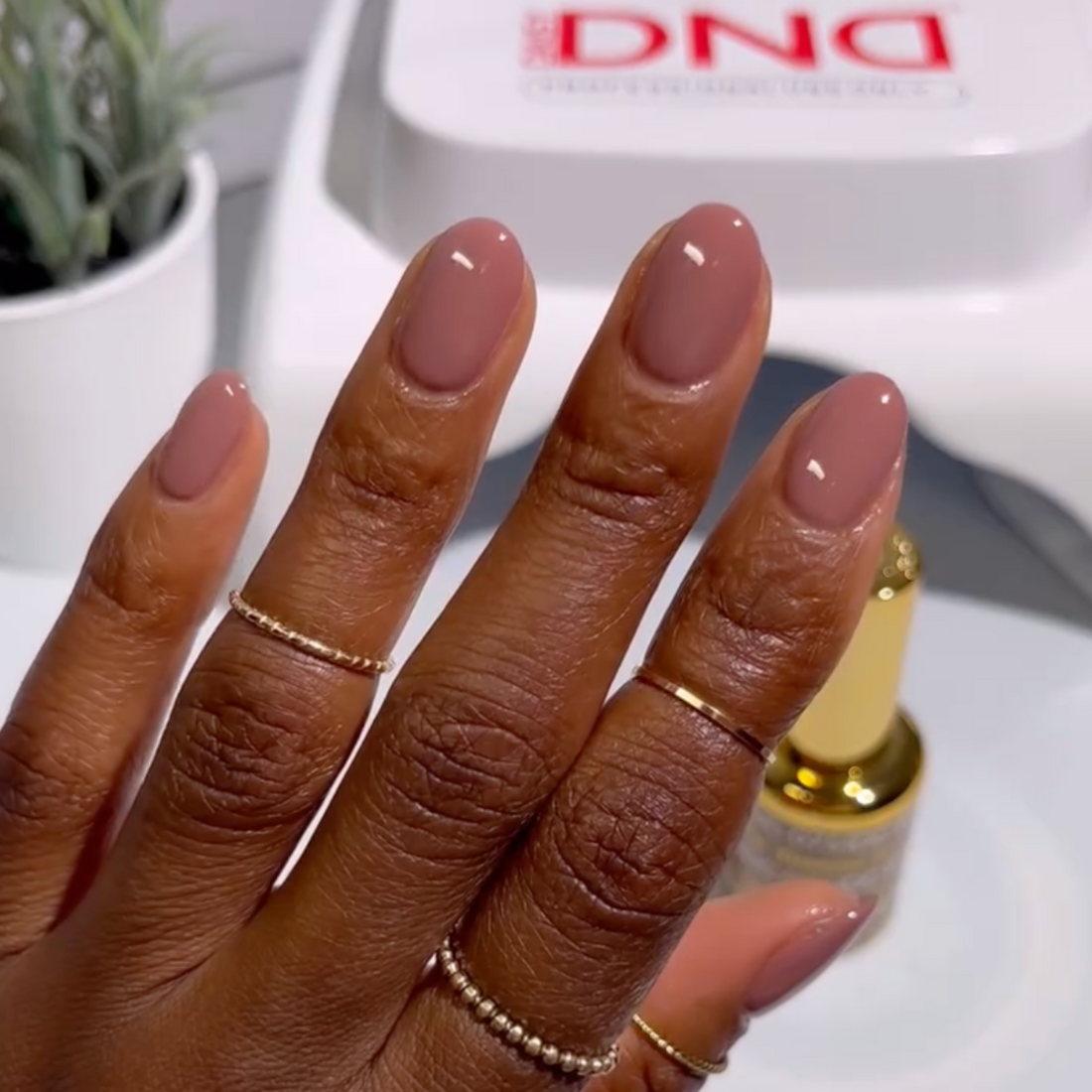 Duo Gel - DC075 Tiramisu Slice