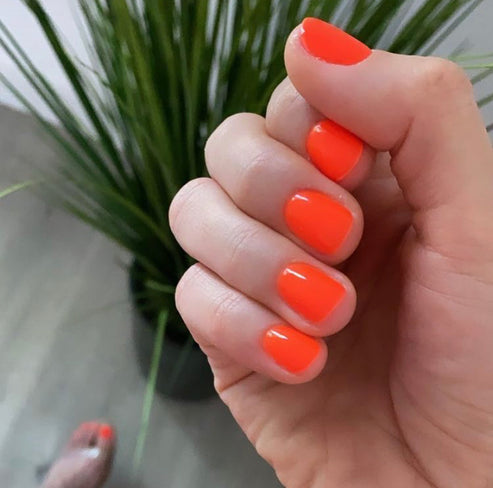 Duo Gel - DC272 Hot Mess