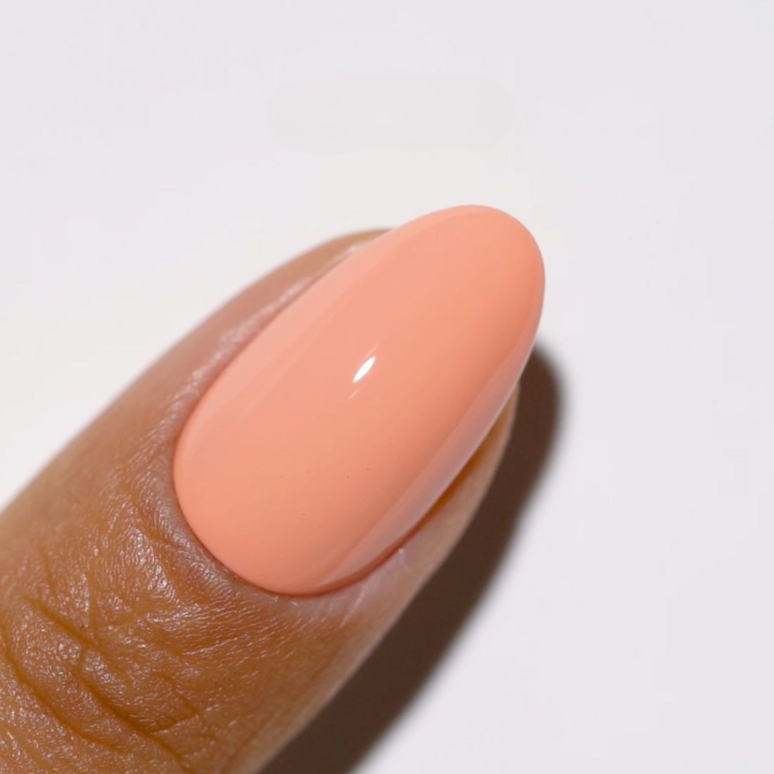Duo Gel - DC305 Bon Appetit