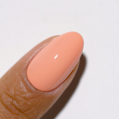Duo Gel - DC305 Bon Appetit