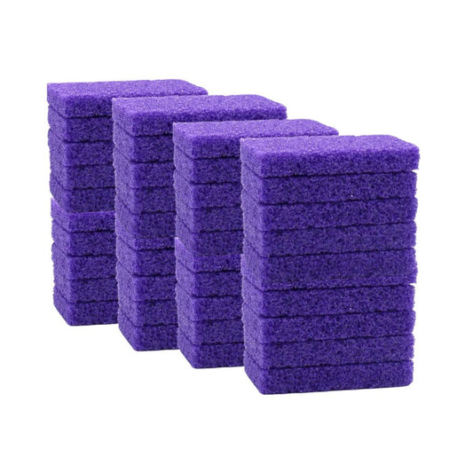 Disposable Pumice Purple Small 40pc