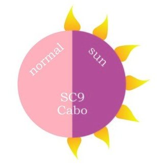 Dip Powder - SC9 Cabo