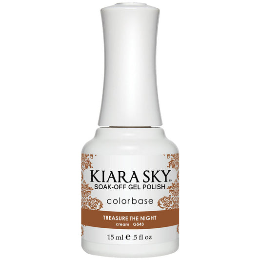 Gel Polish - G543 Treasure The Night Diamond Nail Supplies