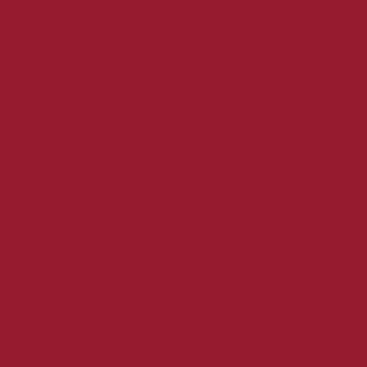 Dip Powder - NU07 Red Red Wine Diamond Nail Supplies